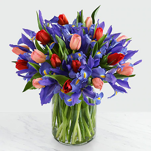 V-Irises and Tulips in a Glass Vase