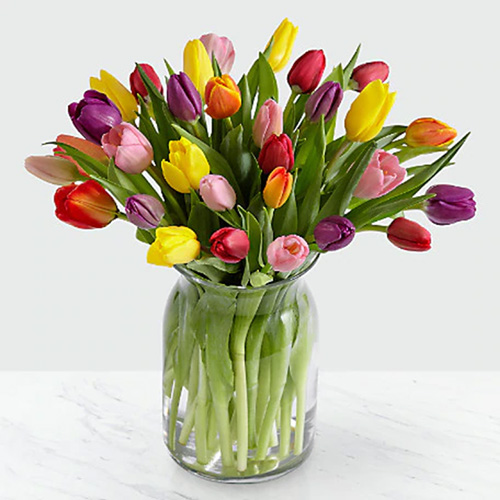V-20 Assorted Tulips in a Vase