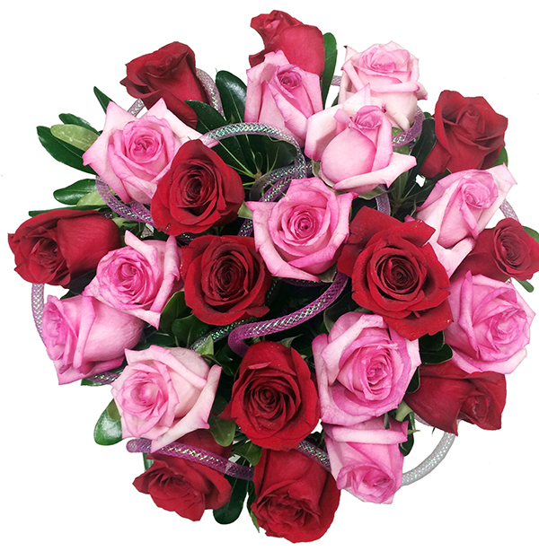 24 Red & Pink Roses