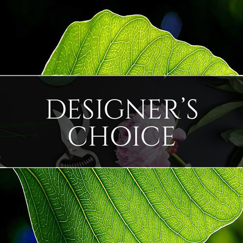 Designer's Choice Plant