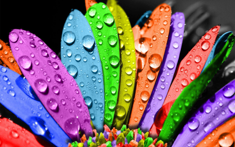 Colour Therapy