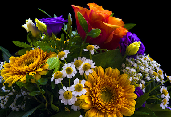 Meaning of flower language
