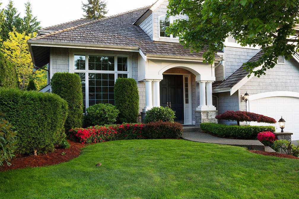 Real Estate & Flowers