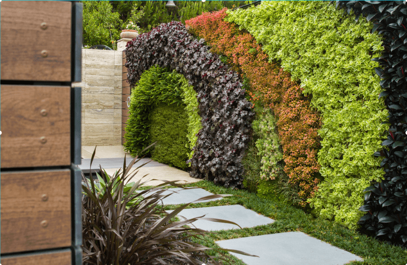 Living Walls