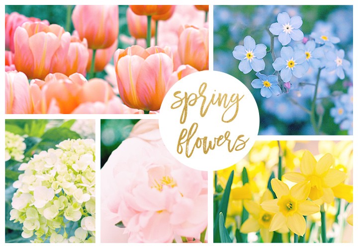 Springtime Flowers