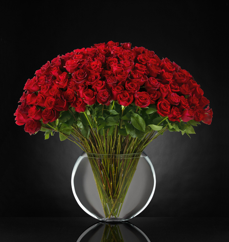 Valentine's Day Roses and Flowers