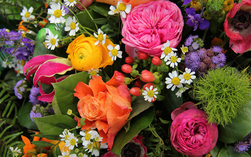 Why Flowers?