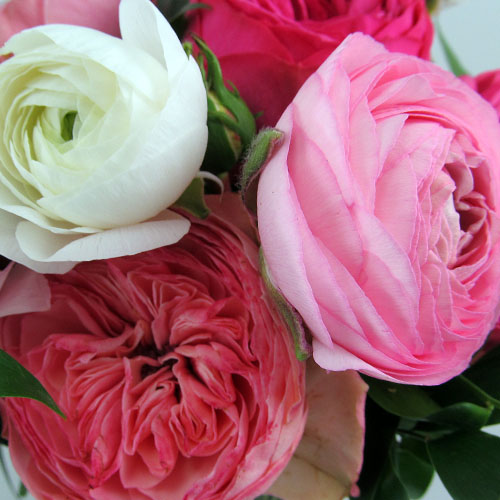 Garden Roses -  Call for Pricing!