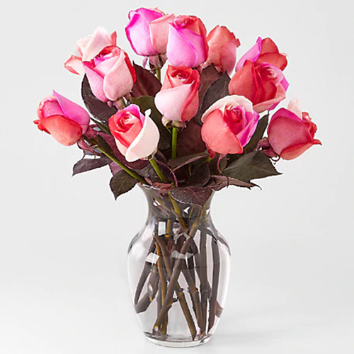 Dozen Pink Roses in a Vase